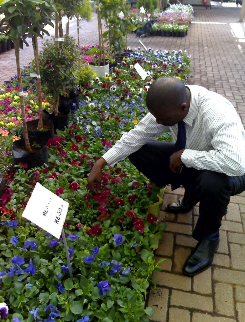 Aménagement floral